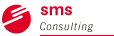 sms Consulting - Experten im Visier